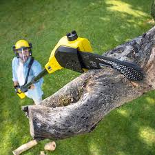 Best Lawn Pest Prevention  in Scanlon, MN